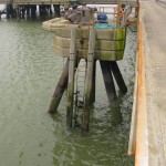 Millford Haven 5