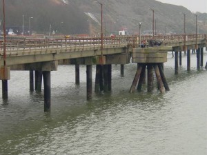 Millford Haven 6
